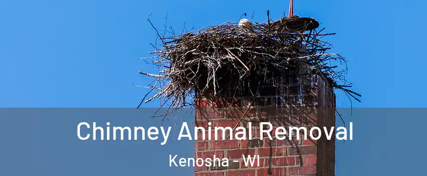  Chimney Animal Removal Kenosha - WI