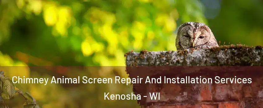  Chimney Animal Screen Repair And Installation Services Kenosha - WI