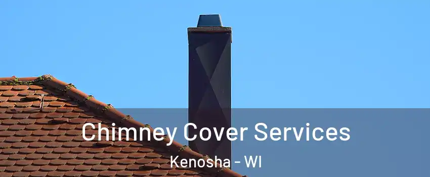  Chimney Cover Services Kenosha - WI