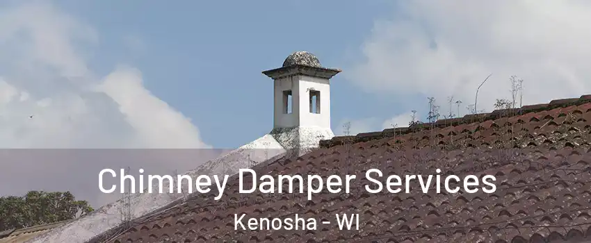  Chimney Damper Services Kenosha - WI