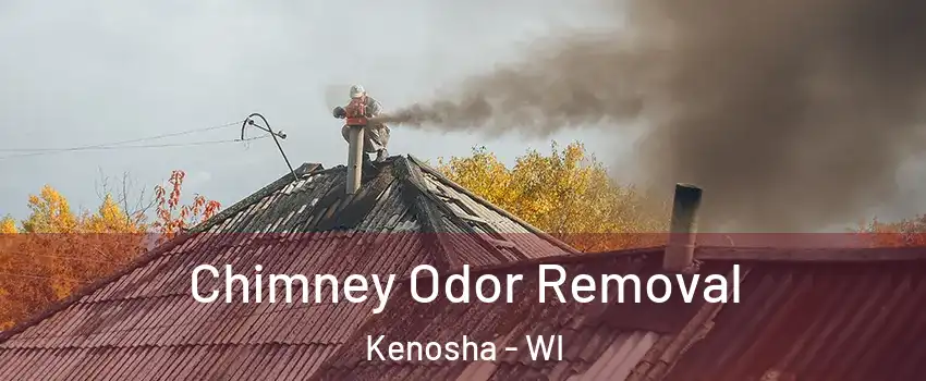  Chimney Odor Removal Kenosha - WI