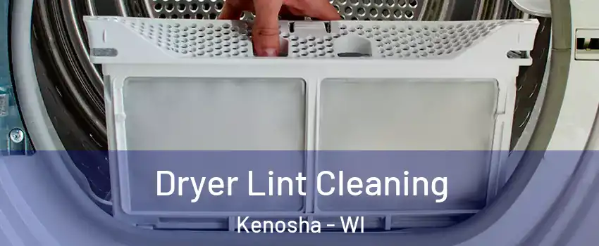  Dryer Lint Cleaning Kenosha - WI