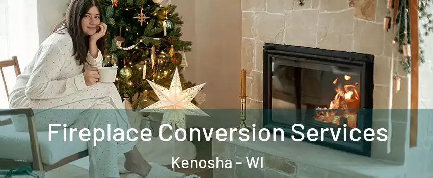  Fireplace Conversion Services Kenosha - WI