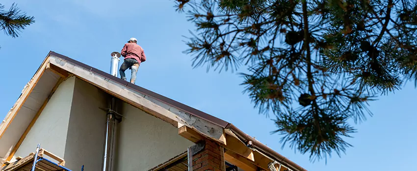 Birds Removal Contractors from Chimney in Kenosha, WI