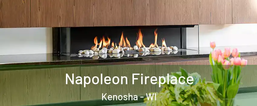  Napoleon Fireplace Kenosha - WI