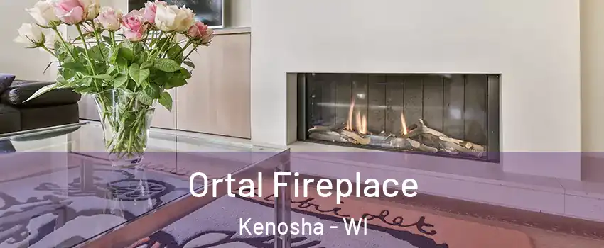  Ortal Fireplace Kenosha - WI
